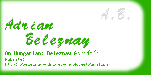 adrian beleznay business card